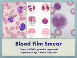 Blood Film Smear