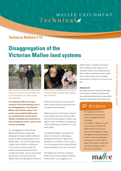 Disaggregation of the Victorian Mallee land systems