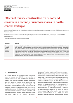 Effects of terrace construction on runoff and erosion in a recently