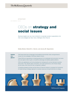 CEOs on strategy and social issues