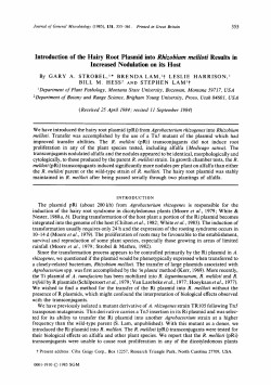 Introduction of the Hairy Root Plasmid into Rhizobium