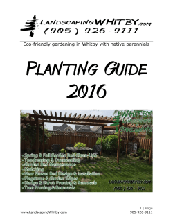 Eco-friendly gardening in Whitby with native perennials