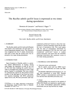 The Bacillus subtilis spoIIA locus is expressed at two times during