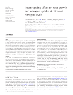 Intercropping effect on root growth and nitrogen