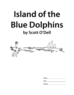 Island of the Blue Dolphins Packet
