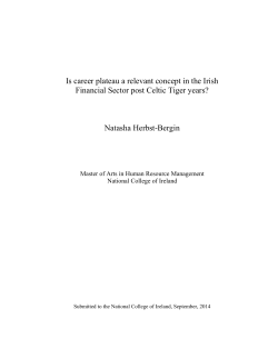 Is career plateau a relevant concept in the Irish Financial Sector post