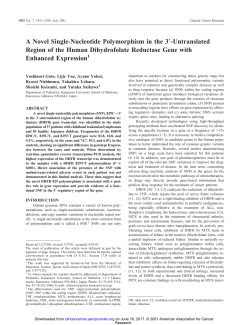 A Novel Single-Nucleotide Polymorphism in the 3