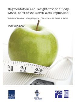 Segmentation and Insight into the Body Mass Index of the North