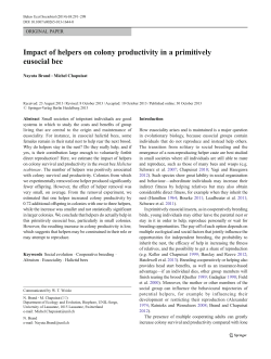 Impact of helpers on colony productivity in a primitively