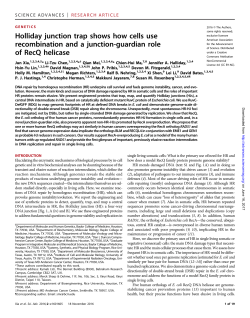 Holliday junction trap shows how cells use recombination and a