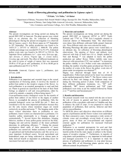 - International Journal of Applied Research