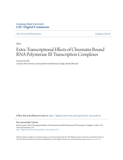 Extra-Transcriptional Effects of Chromatin Bound RNA Polymerase