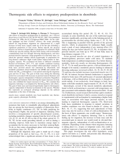 Thermogenic side effects to migratory predisposition in shorebirds