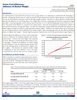 Swine Feed Efficiency: Influence of Market Weight