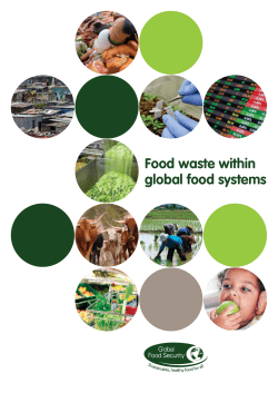 Food waste within global food systems