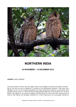Northern India 2012 Tour report