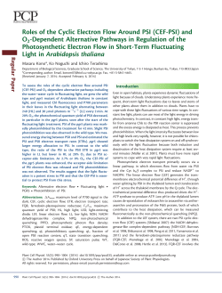 Roles of the Cyclic Electron Flow Around PSI