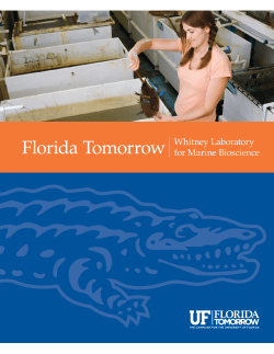 Whitney Laboratory for Marine Bioscience