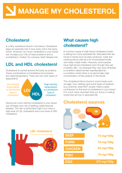 manage my cholesterol