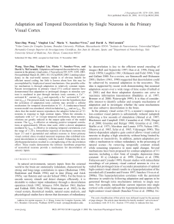 Adaptation and Temporal Decorrelation by Single Neurons in the