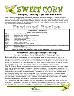 Sweet Corn Recipes and Flyer.pub