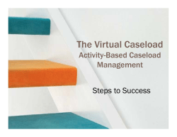 The Virtual Caseload by Michelle Parlej