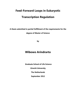 Feed-Forward Loops in Eukaryotic Transcription Regulation Wibowo