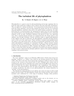 The turbulent life of phytoplankton