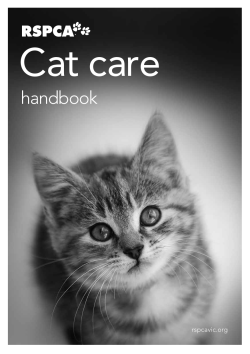 RSPCA cat care handbok