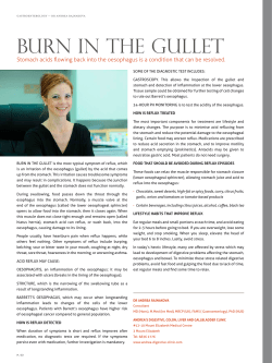 BuRN IN THE GuLLET - Andrea`s Digestive, Colon, Liver and