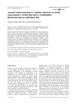 Acoustic backscattering by Atlantic mackerel as