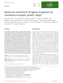 Molecular mechanism of ligand recognition by membrane transport