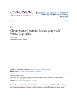 Chromosome Counts for Packera paupercula Variety Gypsophila
