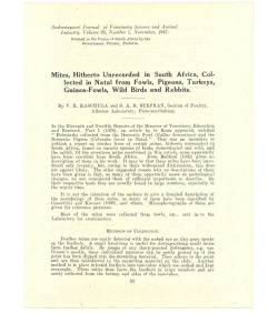Mites, Hitherto Unrecorded in South Africa, Col