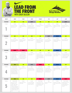 2013_lead - WordPress.com