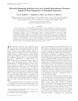 Diversity-Enhancing Selection Acts on a Female