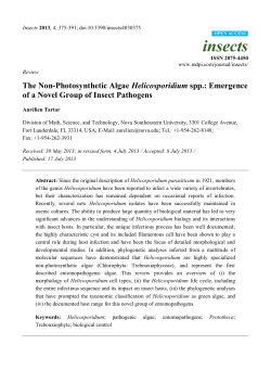 The Non-Photosynthetic Algae Helicosporidium spp.: Emergence of