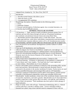 Adobe PDF - CL Davis Foundation