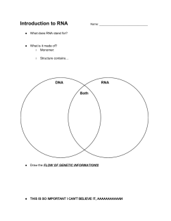 Intro to RNA