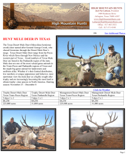 hunt mule deer in texas