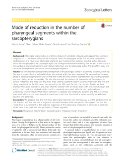 Mode of reduction in the number of pharyngeal segments within the