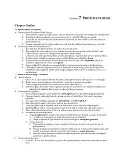 CHAPTER 7 PHOTOSYNTHESIS