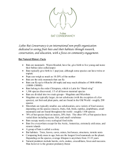 Bat facts and FAQ. - Lubee Bat Conservancy