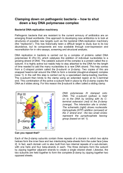 Clamping down on pathogenic bacteria &ndash; how to shut down a key