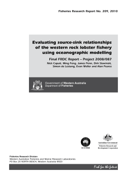 Evaluating source-sink relationships of the western rock lobster