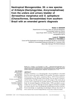 a new species of Kritskyia