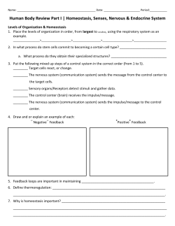 Human Body Review Part I | Homeostasis, Senses, Nervous