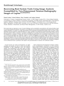 Recovering Root System Traits Using Image