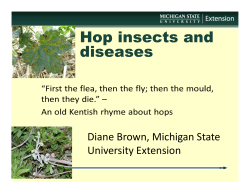 Hops - MSU Extension - Michigan State University