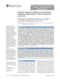 Embryonic Endoderm Differentiation in Mouse Embryonic
